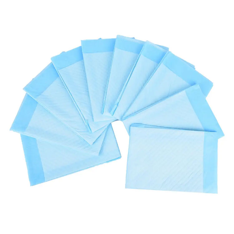 Tấm lót điều dưỡng dùng một lần giải quyết những thách thức chăm sóc hàng ngày như thế nào? Tấm lót điều dưỡng dùng một lần giải quyết những thách thức chăm sóc hàng ngày như thế nào?